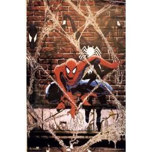  Spider Man Poster Todd McFarlane 1990