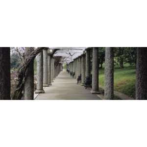  Columns Along a Path in a Garden, Maymont, Richmond, Virginia, USA 