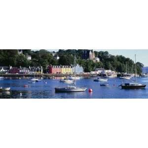 Boats Docked at a Harbor, Tobermory, Isle of Mull, Scotland by 