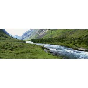  Lush Foliage Along Valley Stream, Norway Photographic 