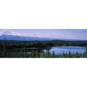  Lake in a Forest, Taylor Highway, Alaska, USA Premium 