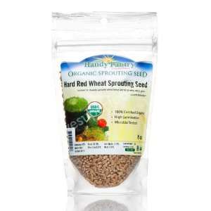 Handy Pantry Wheatberry Sprouting Seeds Health & Personal 