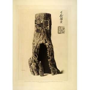 1883 Etching Aquatint Vase Sugi Pine Tree Stump Gamboun Henri Guerard 