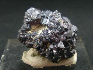 CUPRITE + SILVER CRYSTAL RUSSIA NEW FIND 132 CARAT   NEW TUCSON 2012 