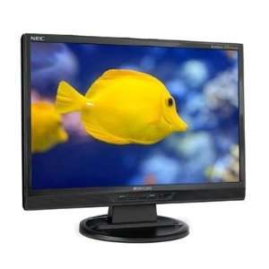   Widescreen LCD Monitor 400 cd/m2 10001 Built in Speakers Electronics