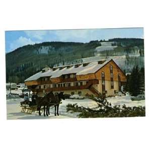  Valhalla Lodge at Vail Colorado Postcard Horses & Sled 