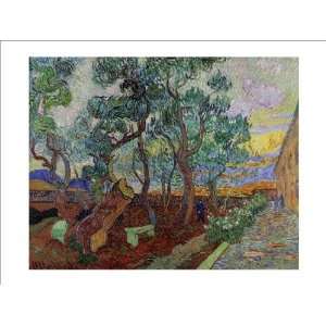 The Garden of Saint Pauls Hospital 4 Vincent van Gogh. 16.00 inches 