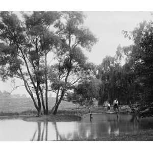  1920 photo Herald Havre de Grace Tour, lake at John Wilkes 