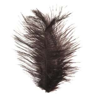  Touch of Nature 38303 Ostrich Plume Embellishment, 5 to 8 