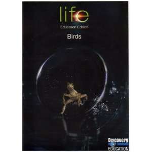  Life Birds DVD Movies & TV