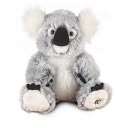 Webkinz   Koala $14.95