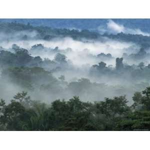 Rain Forest, from Lubaantun to Maya Mountains, Belize, Central America 