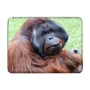  An orangutan with fruit at Twycross Zoo,   iPad Cover 