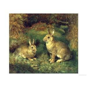 Rabbits Giclee Poster Print by Henry Carter, 18x24 