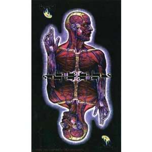 Tool   Lateralus Decal