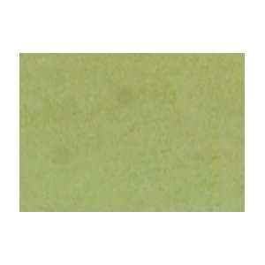   Pastels Individual   352/Chrome Oxide Green Arts, Crafts & Sewing