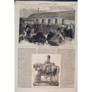   Telegraph Cable Peel Valencia Goodwood Races Cup 1865