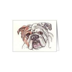 English Bulldog Illustration Card