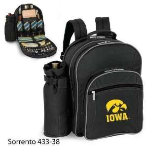  University of Iowa Sorrento Case Pack 2 