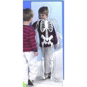    See Through Me Skeleton Mirror by Childrens Factory Toys & Games
