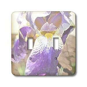Patricia Sanders Creations   Purple Iris Floral Art   Light Switch 