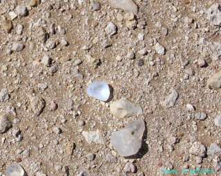 Uncommon Boli Stone Calcite Desert Isis   Rub al Khali Desert  