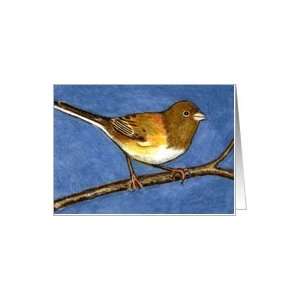  Color Pencil Drawing of Junco Bird, Blank Note Card Card 