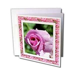  Patricia Sanders Flowers   Floral Frame Pink Rose  Flowers 