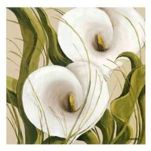  White Flower   Poster by Luis Romero (8 x 8)