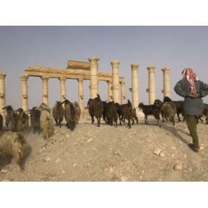  Ruins of the Ancient Byzantine City of Palmyra Stretched 