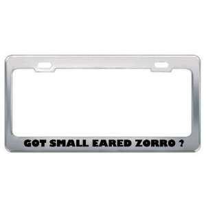 Got Small Eared Zorro ? Animals Pets Metal License Plate Frame Holder 