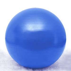 GOGO 55cm Yoga Balance Ball / Fitness Stability Ball, Blue  