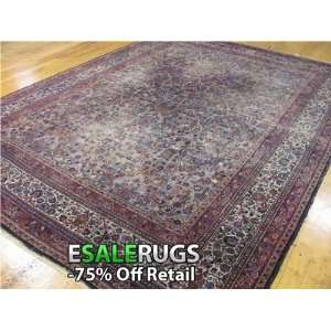    9 0 x 12 3 Birjand Hand Knotted Persian rug