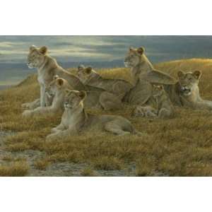  Robert Bateman   Family Gathering   Lioness and Cubs 