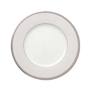 Limoges by Guy Degrenne   Circa Platinum Round Flat Dish  