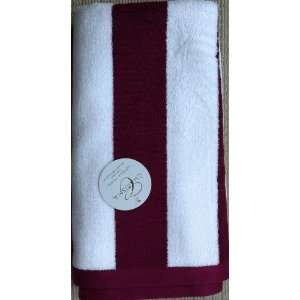  Charisma Resort Beach Towel (Raspberry Cabana Stripe / 35 