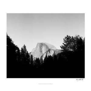  Tucker Smith   Half Dome In Trees Giclee