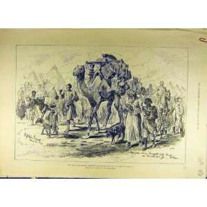  1884 Refugees Soudan War Tokar Trinkitat Africa Print 