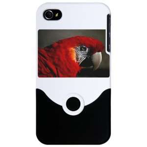  iPhone 4 or 4S Slider Case White Scarlet Macaw   Bird 
