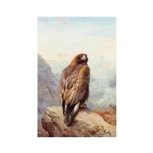   Archibald Thorburn   32 x 32 inches   Golden Eagle 1