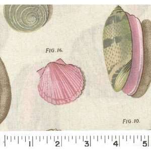  45 Wide Big Shells Natural Fabric By The Yard Arts 