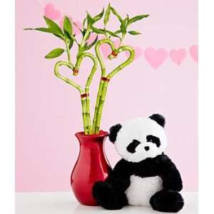 Double the Love with Panda Grocery & Gourmet Food