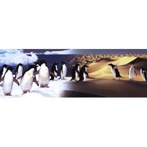  Surreal Penguin Landscape by Unknown 36x12