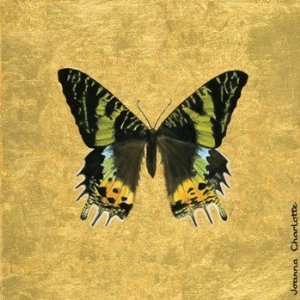  Butterfly on Gold Poster by Joanna Charlotte (12.00 x 12 