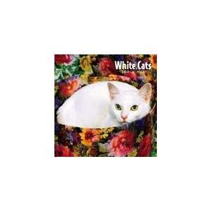  White Cats 2010 Wall Calendar