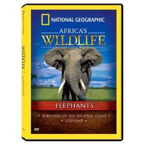   Geographic Africas Wildlife Collection Elephants Video Games