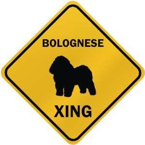  ONLY  BOLOGNESE XING  CROSSING SIGN DOG
