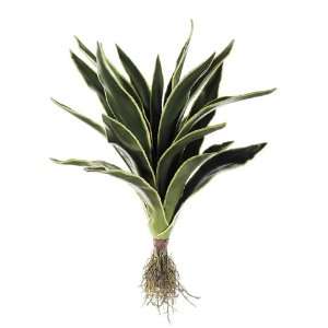  Faux 20 Aloe Plant w/Roots Green White (Pack of 4) Patio 