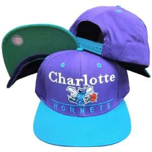  Charlotte Hornets Purple/Teal Two Tone Plastic Snapback 