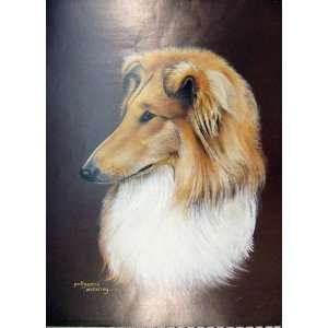 Pollyanna Pickering Colour Shetland Collie Dog Print